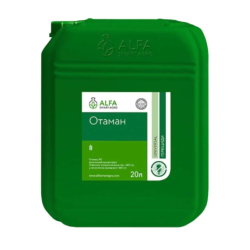 Отаман