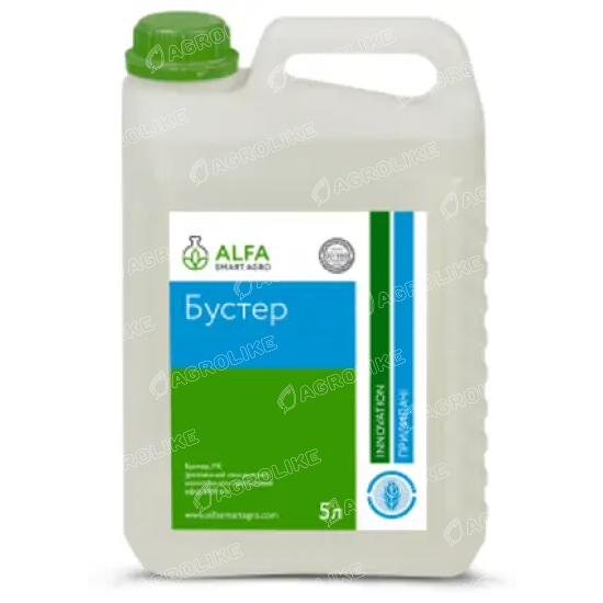 Бустер