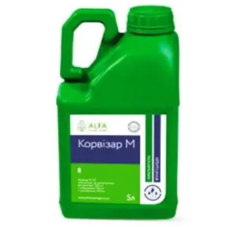 Корвізар М