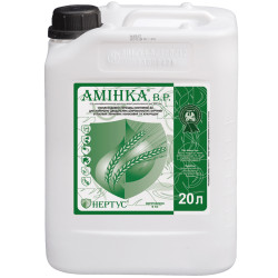 Амінка