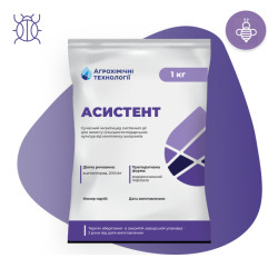 Асистент