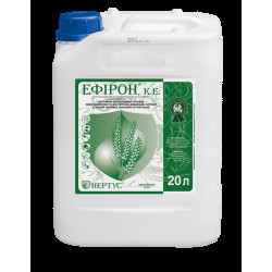 Ефірон