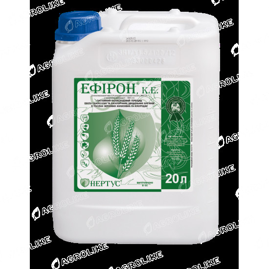 Ефирон