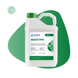 Маестро