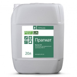 Прагмат