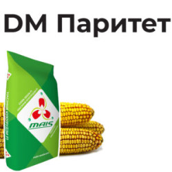 Насіння кукурудзи ДМ Паритет