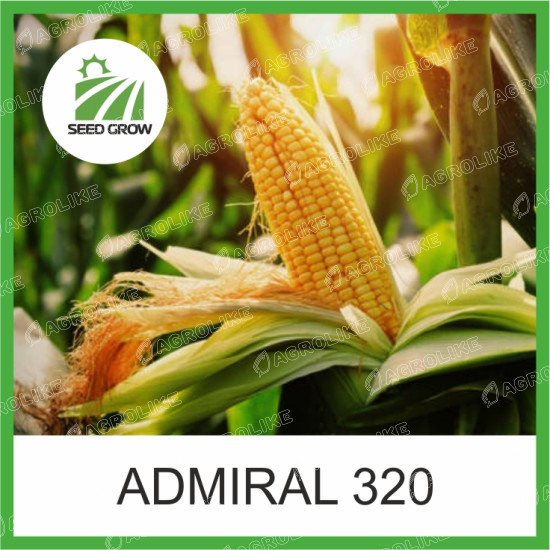 Семена кукурузы Admiral 320