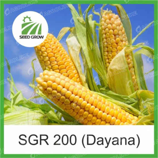 Семена кукурузы SGR 200 DAYANA