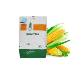 Насіння кукурудзи Альбірео