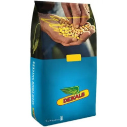 Насіння кукурудзи ДКС4590 Max Yield