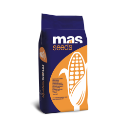 Насіння кукурудзи MAS 37.V