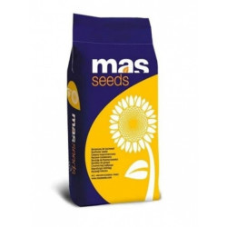 Насіння соняшнику MAS 97.A
