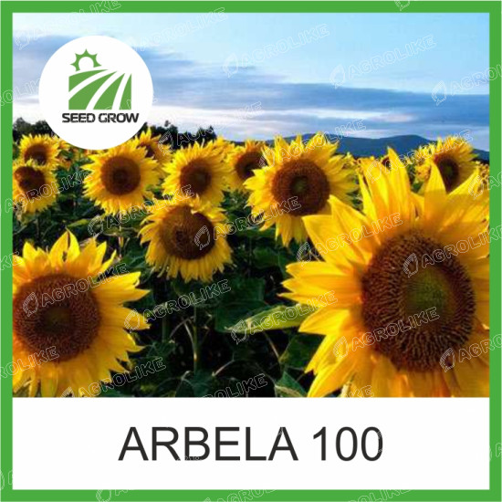 Семена подсолнечника ARBELA 