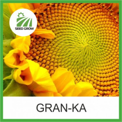 Насіння соняшнику GRAN-KA
