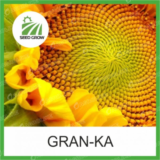 Семена подсолнечника GRAN-KA