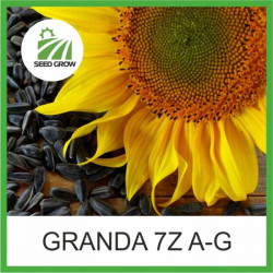 Насіння соняшнику Granda