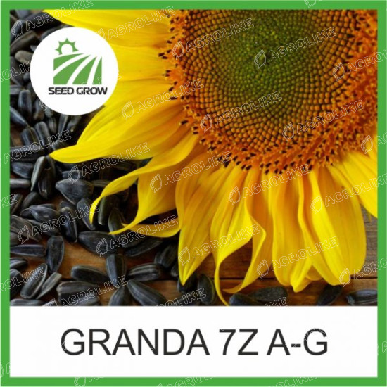 Семена подсолнечника Granda