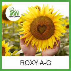 Насіння соняшнику ROXY
