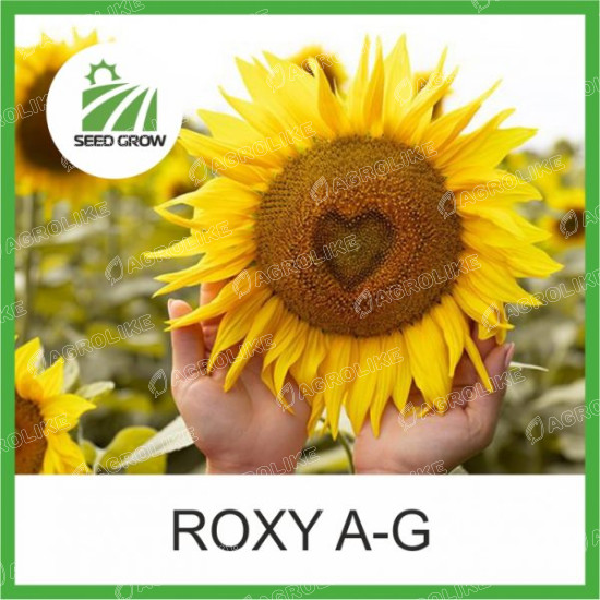 Семена подсолнечника ROXY