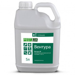 Вентура