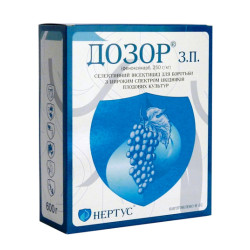 Дозор
