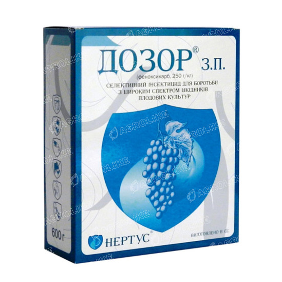Дозор