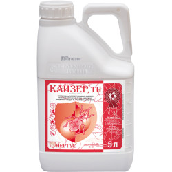 Кайзер