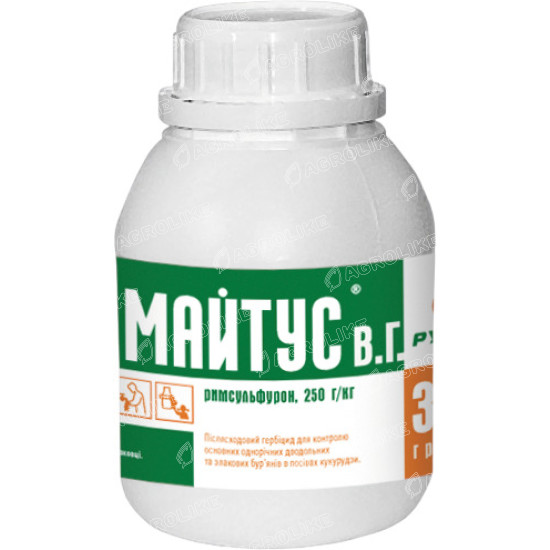 Майтус