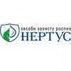 Нертус