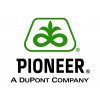 Pioneer