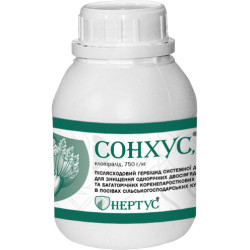 Сонхус