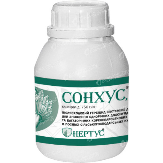 Сонхус