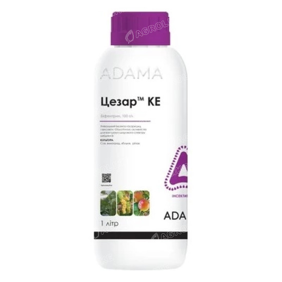Цезар
