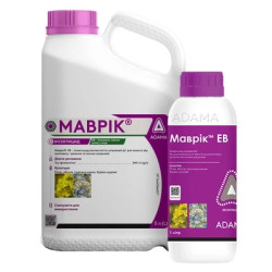 Маврік