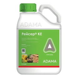 Рейсер