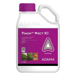 Рімон Фаст