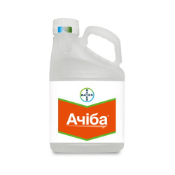 Ачіба