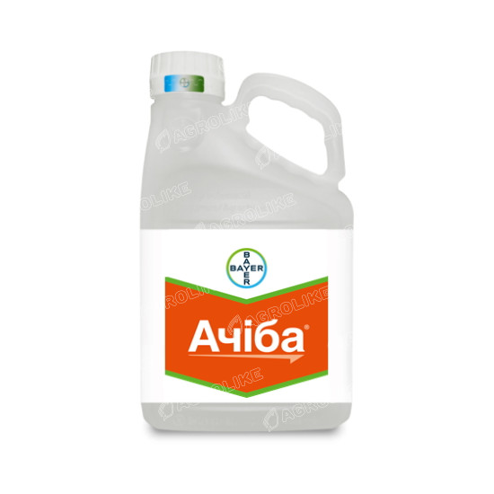 Ачіба