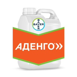 Аденго