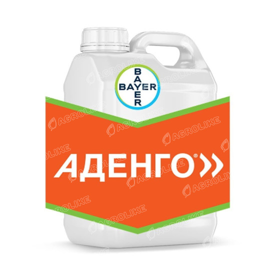 Аденго