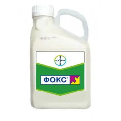 Фокс