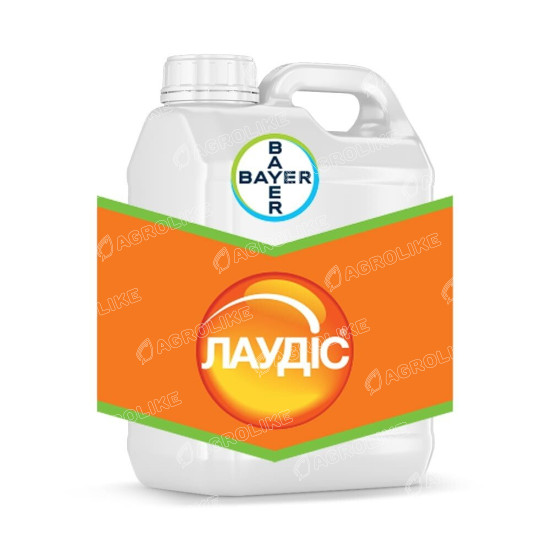 Лаудис