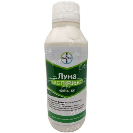 Луна Экспириенс