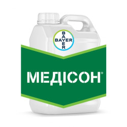 Медісон