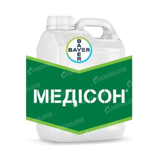 Медисон