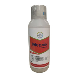 Мерлін