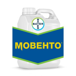 Мовенто