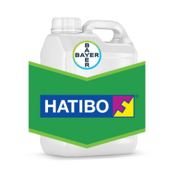 Натіво