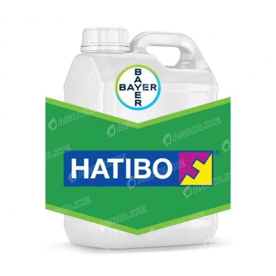 Нативо
