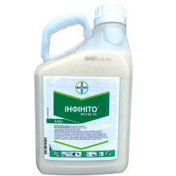 Інфініто